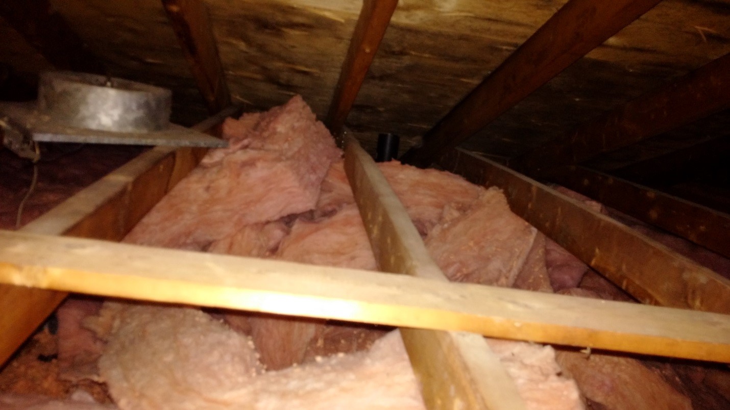 Attic Mold Removal CleanFirst Restoration