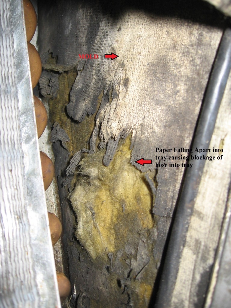 Fan Coil Mold Remediation in Toronto By Trusted Experienced Technicians