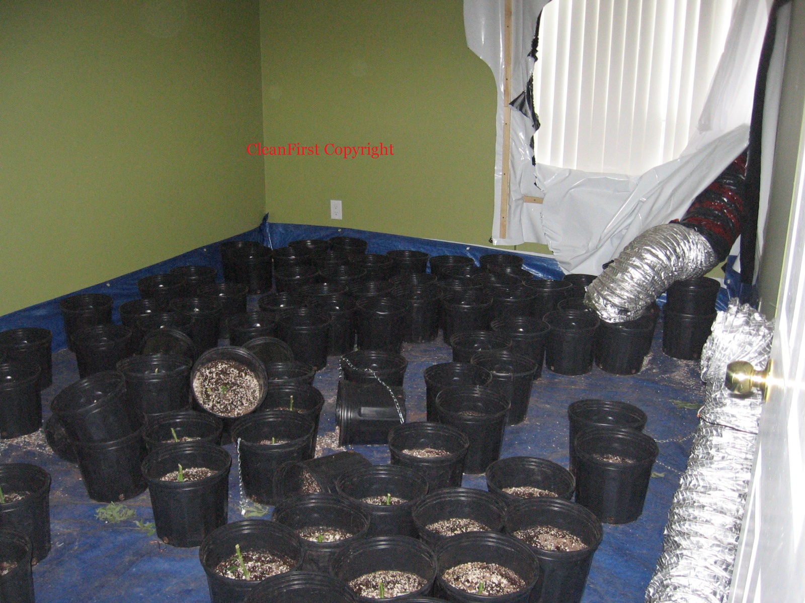 grow op remediation pic2