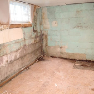 Mold On Cement Basement Floor - Epoxy Floor Coatings Create a Mold-Proof Basement Floor : Maybe you would like to learn more about one of these?