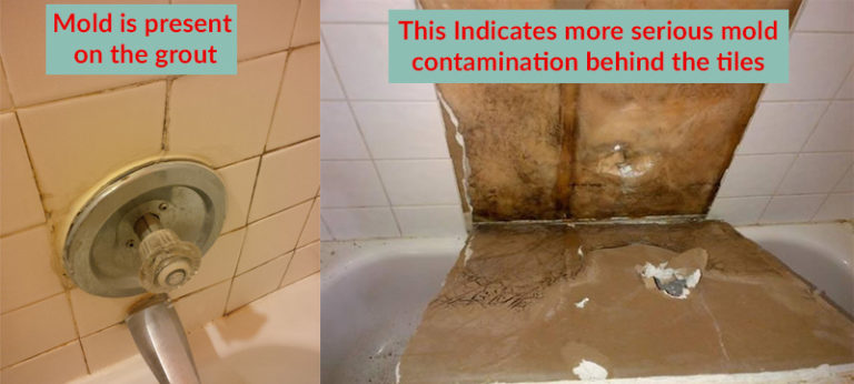 I found mold in the bathroom – what should I do? | CleanFirst Restoration