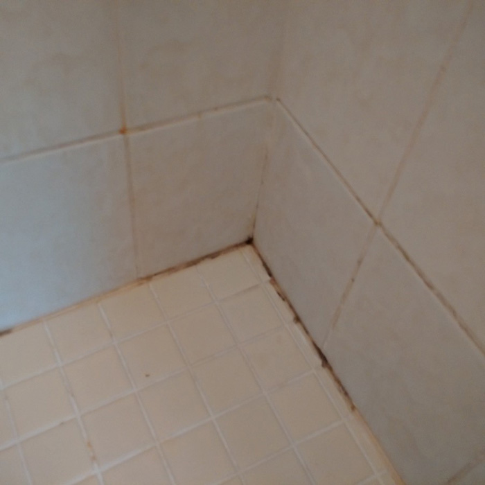 I Found Mold In The Shower Caulking, How To Remove Mold And Mildew From Bathtub Caulking