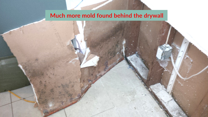 Mold Inside Drywall 800x450px