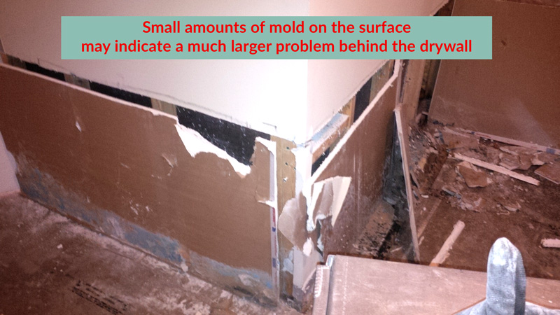 Mold On Drywall