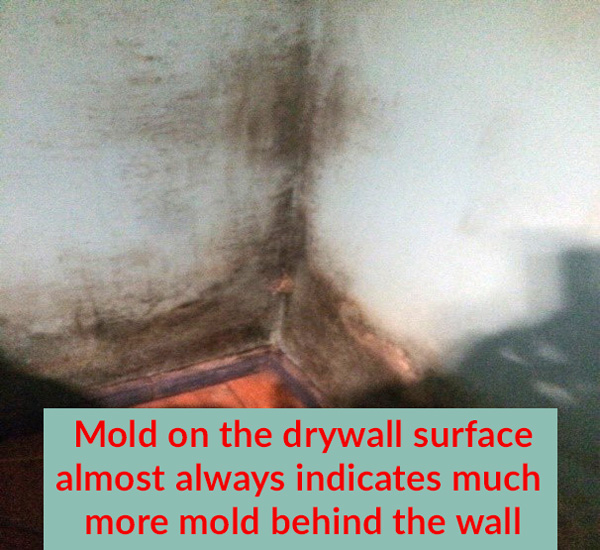 Wall Mold