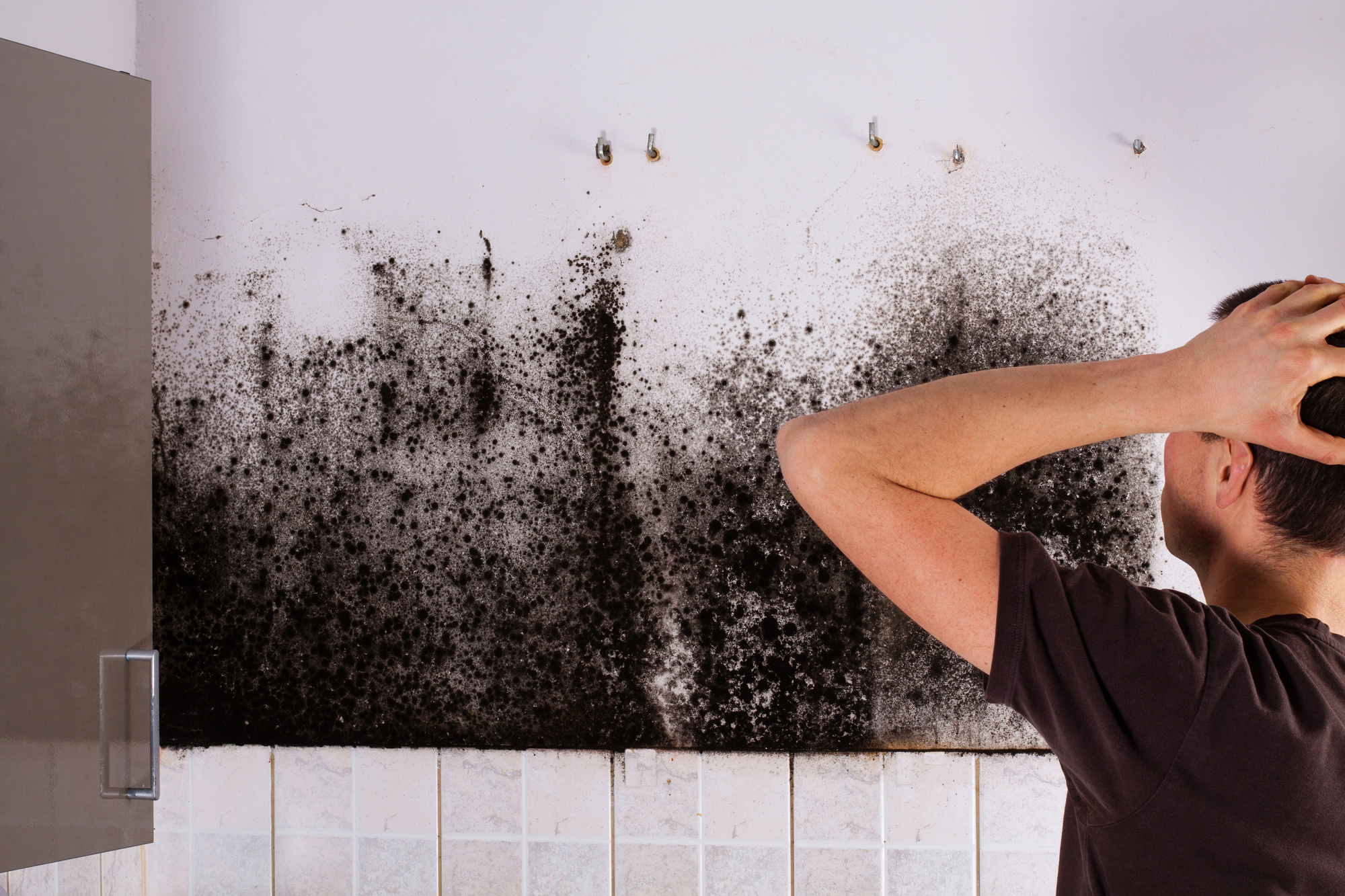 causes of mold
