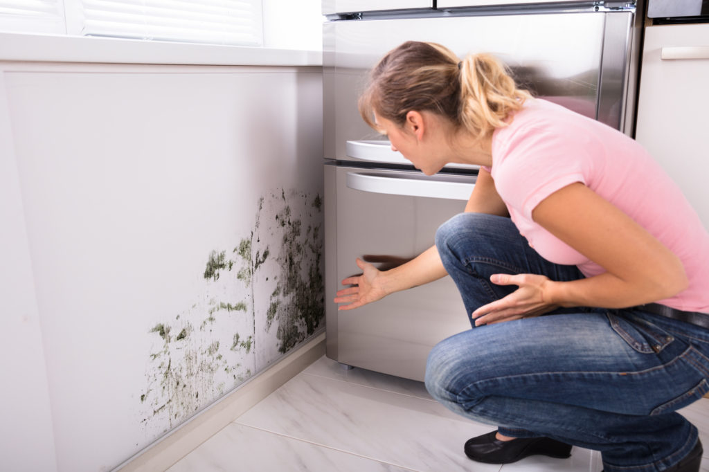 Mold In The Home Why Is It So Dangerous