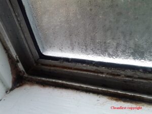 Mold On Windows